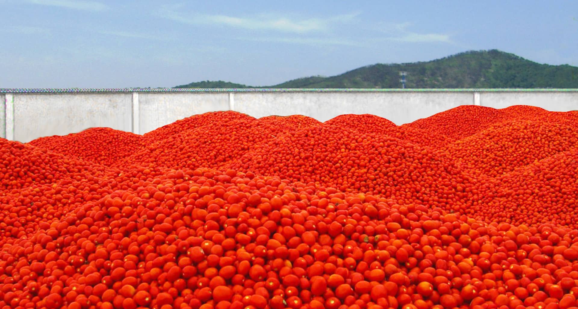 Ningbo Junyoufu Food Co.、Ltd。