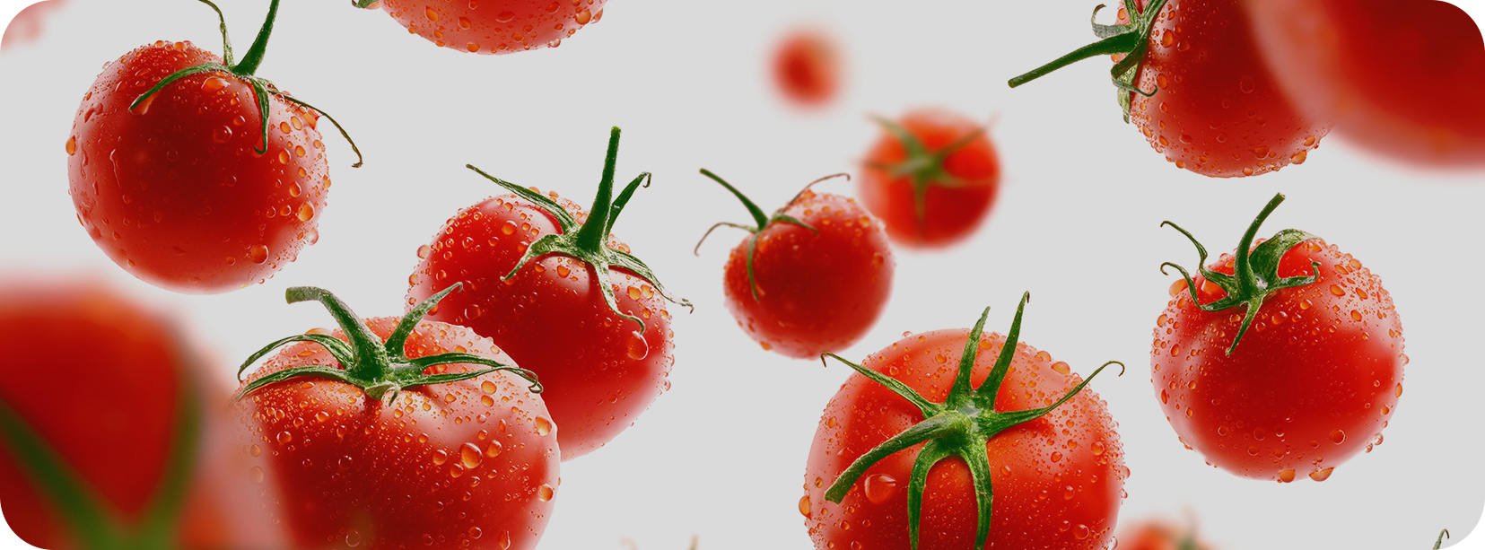 Ningbo Junyoufu Food Co.、Ltd。